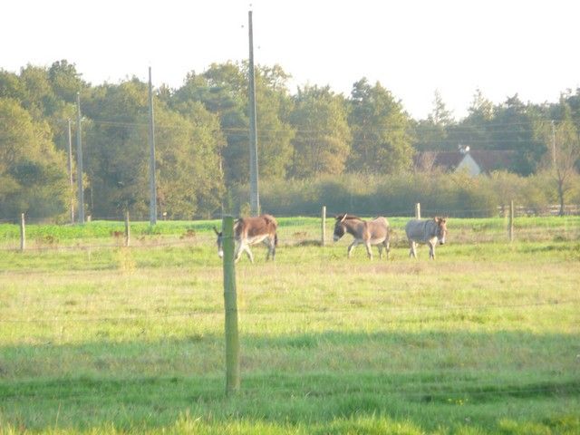 Balthazar et leonard Arrivee (31).jpg